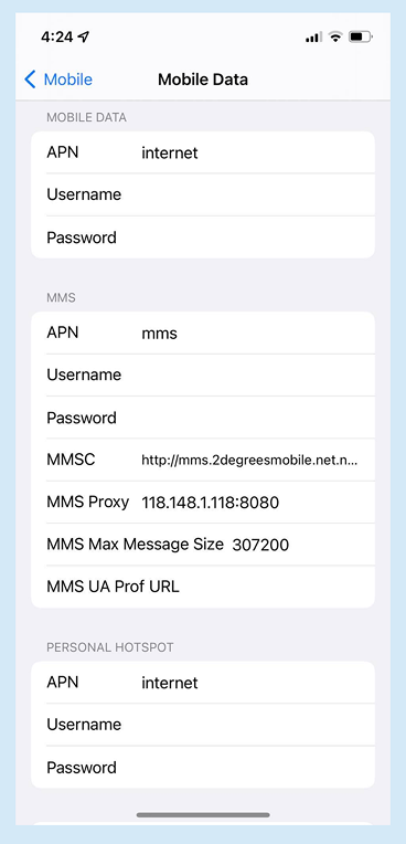 Screenshot of Apple APN settings on mobile device